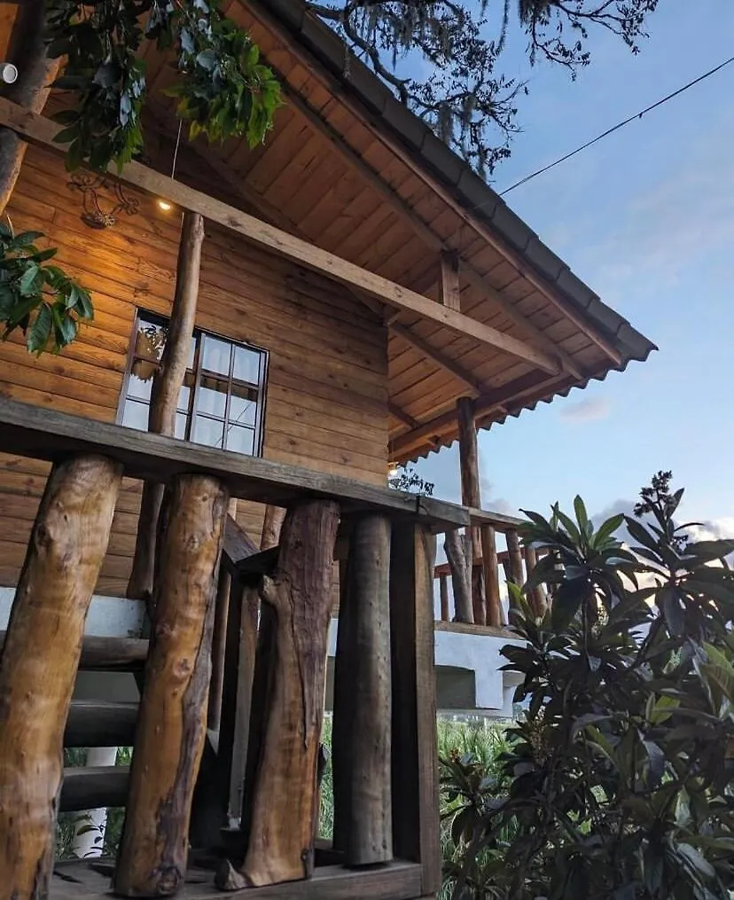 Casa Del Arbol Villa Constanza