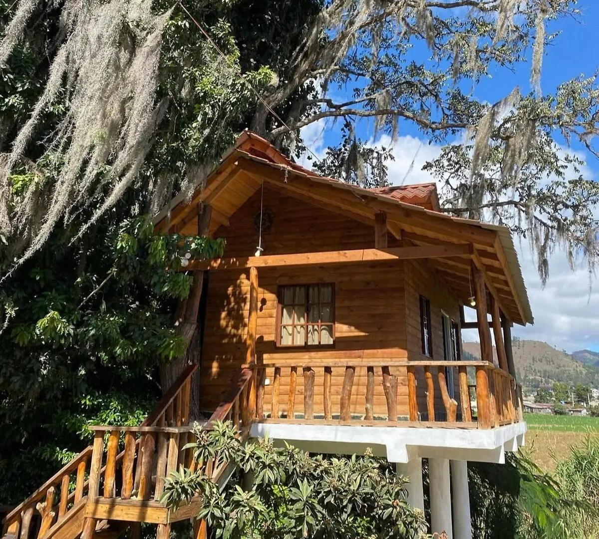 コンスタンサ Casa Del Arbolヴィラ